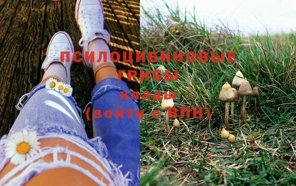 шишки Верея