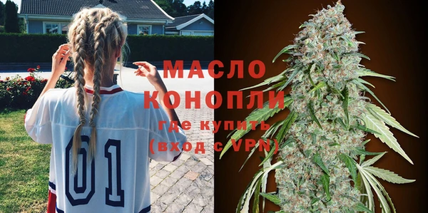 гашик Вяземский