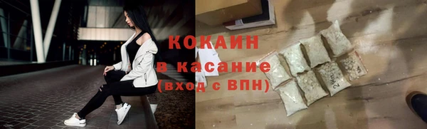 гашик Вяземский