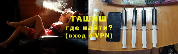 шишки Верея
