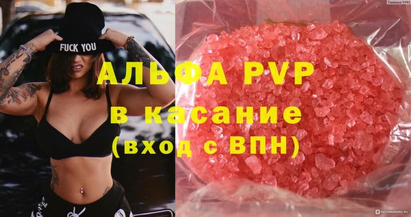 гашик Вяземский