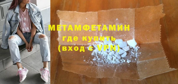 шишки Верея
