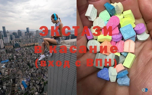 гашик Вяземский