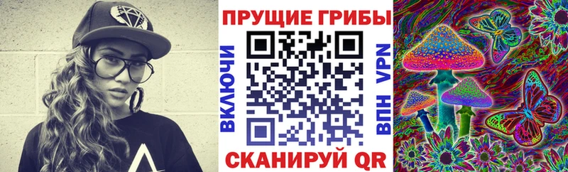 купить наркоту  omg сайт  Псилоцибиновые грибы мицелий  Ермолино 